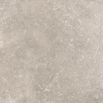 IMG-006539