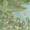 Garden A