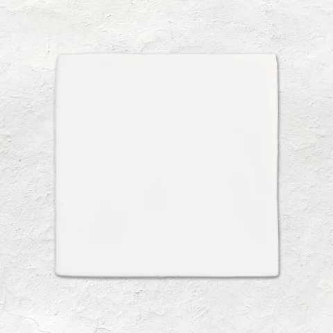 Jaipur Jasmine (above) Frost Field Tile (below)