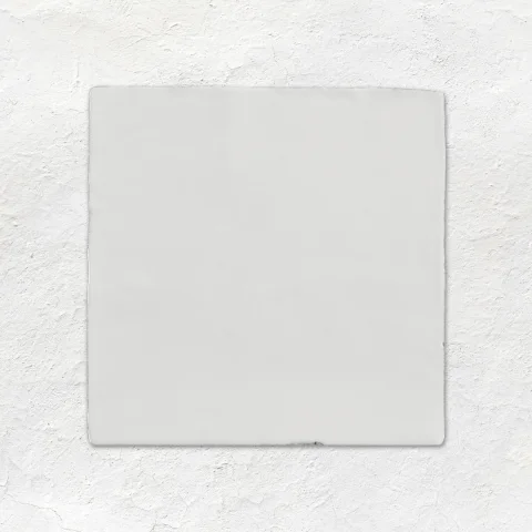 Hibiscus Metropolitan Field Tile & Chalk Metropolitan Field Tile (wall)