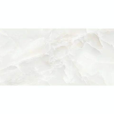 IMG-004224