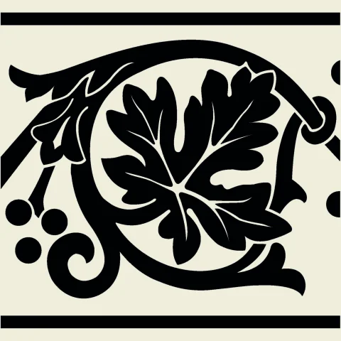 IMG-007176