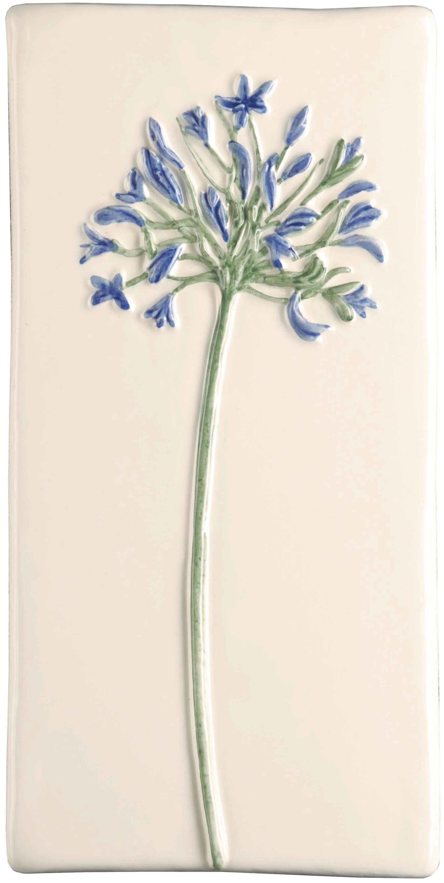 IMG-002683