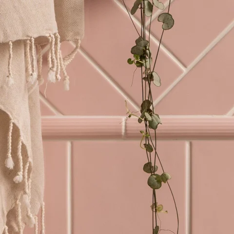 The image shown is for inspiration, demonstrating how this tile can be used and styled with other products. Colour may vary from the product chosen.
