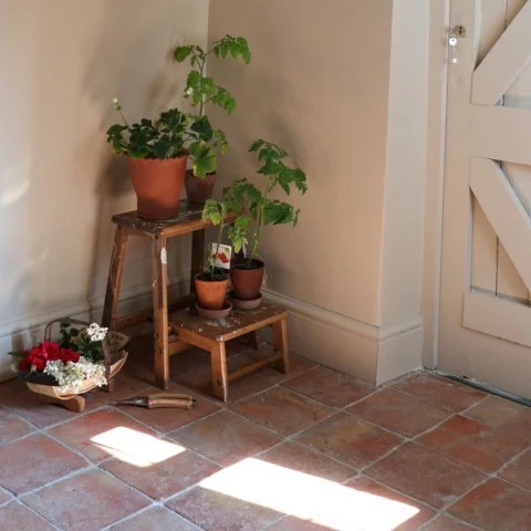IMG-009843