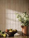 CR_Clifton_Beige_Matt_24x6_2_