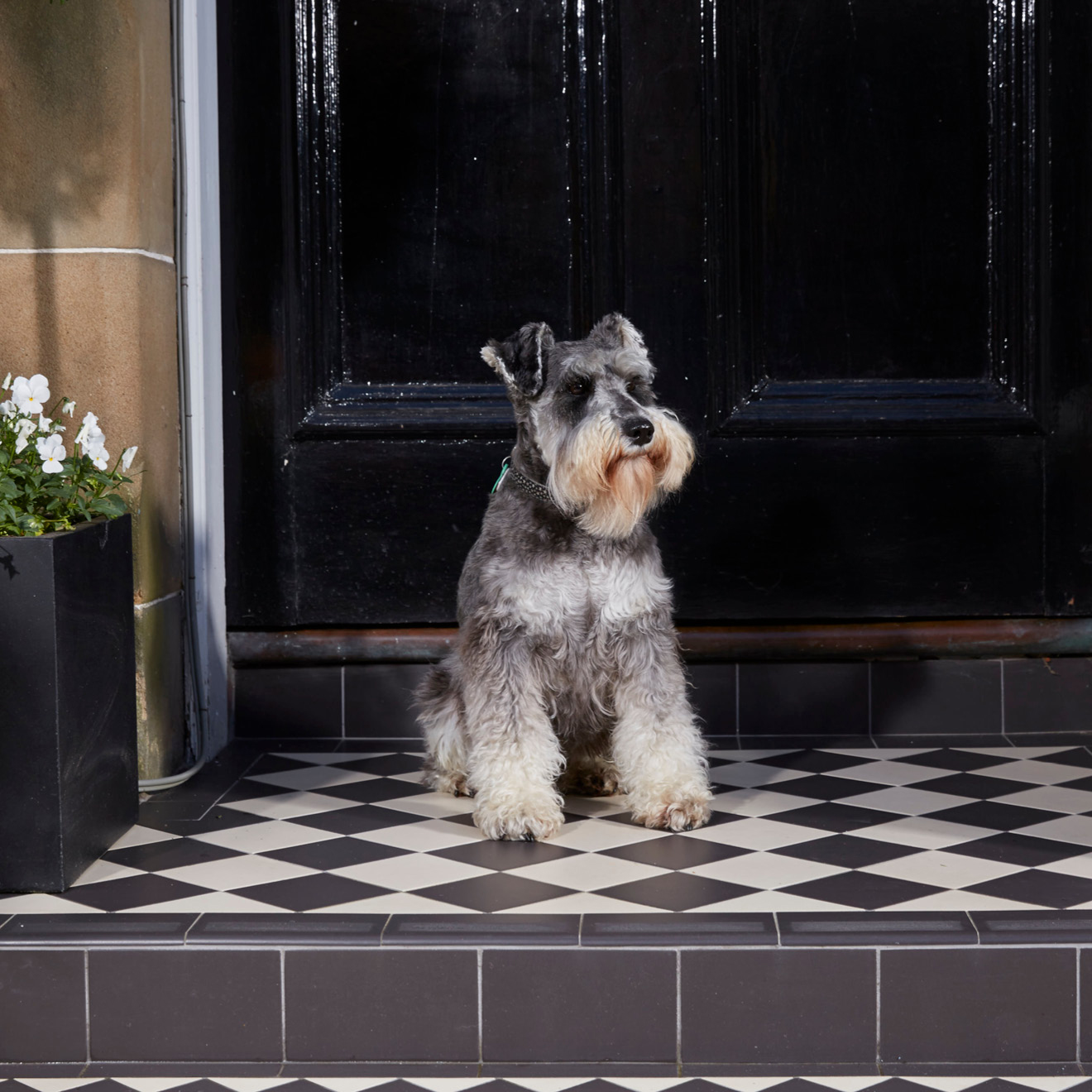 Bespoke_Path_Black_White_10