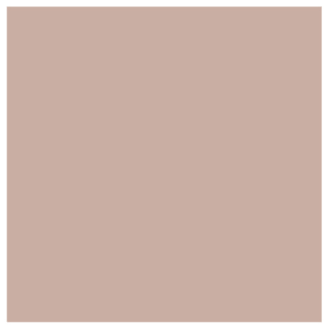 Carnation_Pink_75_Square